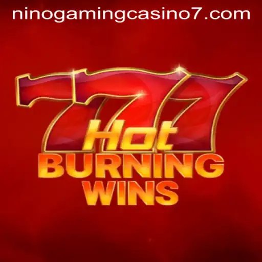 Exploring 'HotBurningWins' at NINO GAMING Casino